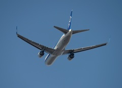 ANA 767-381 ｳｲﾝｸﾞﾚｯﾄ付