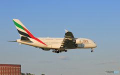　「SKY」  エミレーツ航空 A380-861 A6-EUJ 着陸