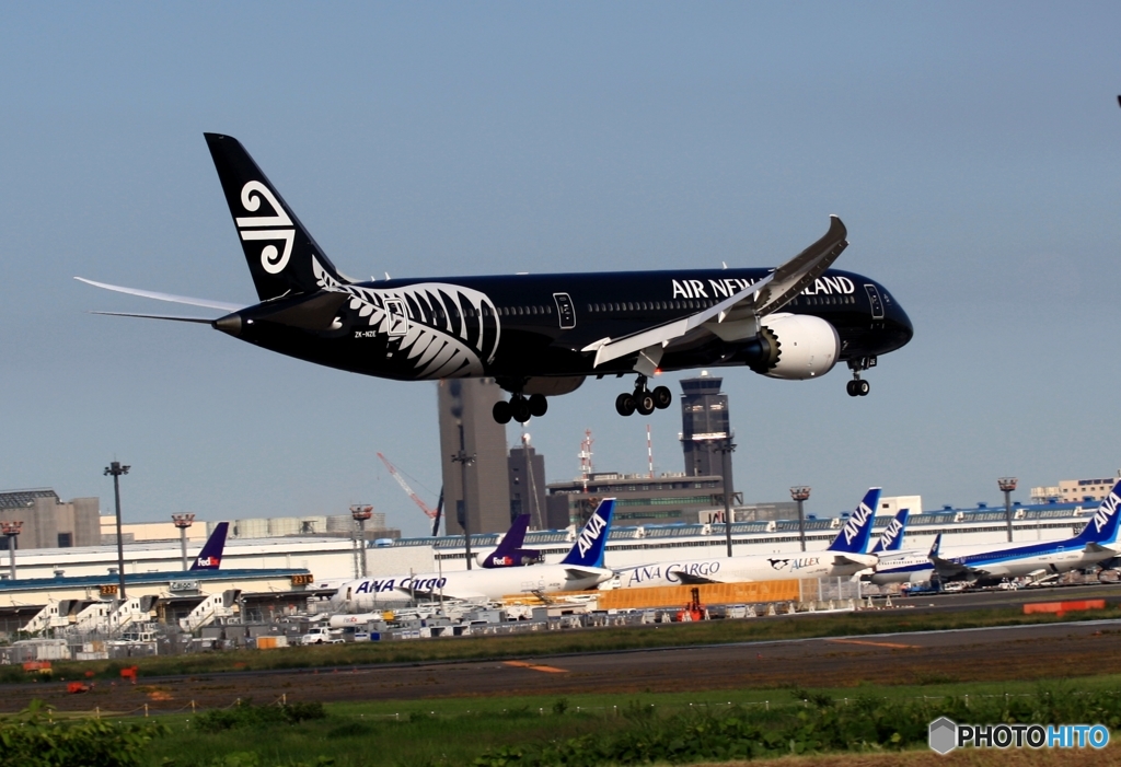 Air New Zealand「All Blacks」787-9 ZK-NZE