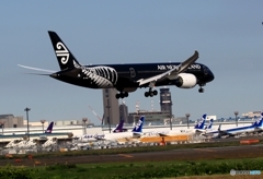Air New Zealand「All Blacks」787-9 ZK-NZE