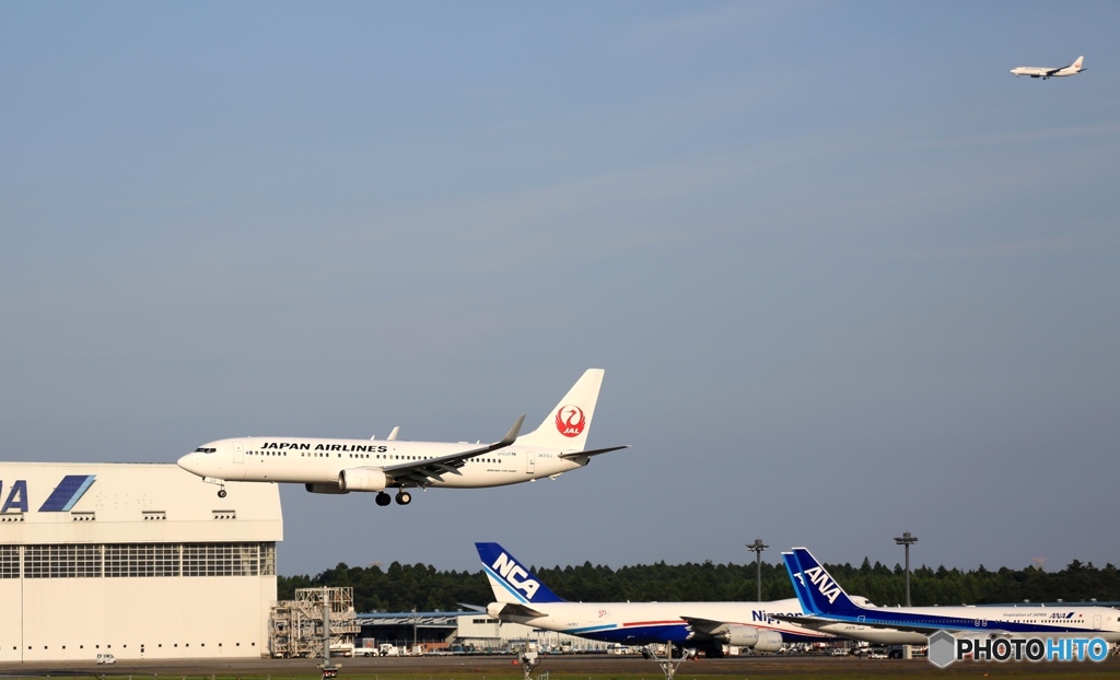 着陸　JAL 737-800 +