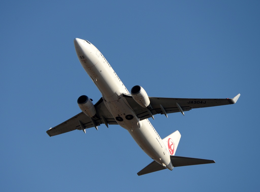 JAL 737-800 飛行