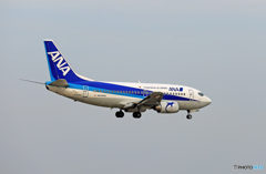 「はれー」 ANA 737-500 JA304K 着陸 「はれー」 ANA 737-500 JA304K 着陸