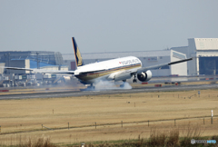「はれー」 Singapore 777-300 9W-SWL 着陸 「はれー」 Singapore 777-300 9W-SWL 着陸