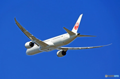 離陸 JAL 787-9 JA862J