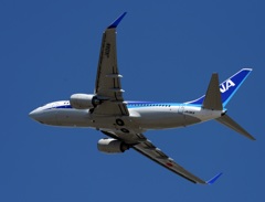 ANA 737-781ER  出発