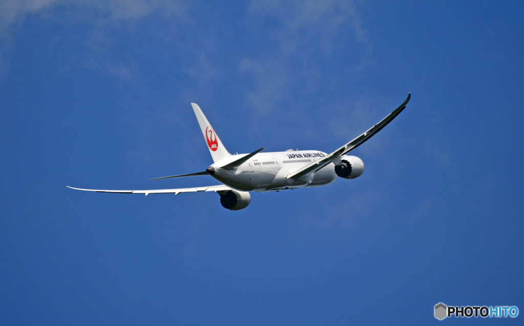 「青い空」JAL 787-8 JA839J