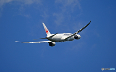 「青い空」JAL 787-8 JA839J