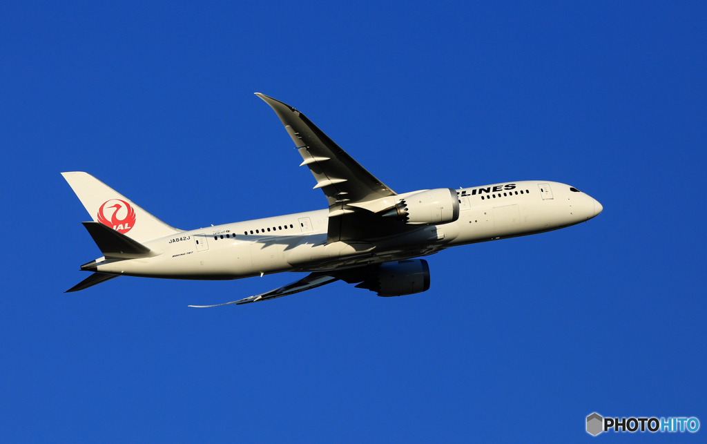 JAL 787-8 JA842J 離陸　
