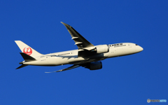JAL 787-8 JA842J 離陸　