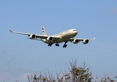 ETIHAD A340-541 着陸 