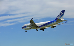 「青い空」 NCA 747-400F JA08KZ/ジャンボ保存委員会 