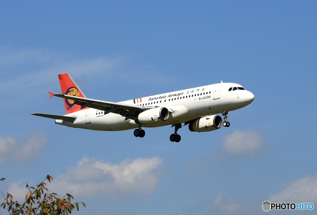 Trance Asia A320-232 B-22310 到着　