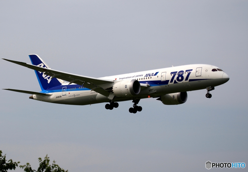 ANA 787-8