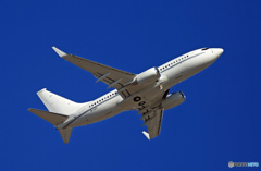 珍しい！ メトロジェット B737-7EI  B-LEX Takeoff ✈