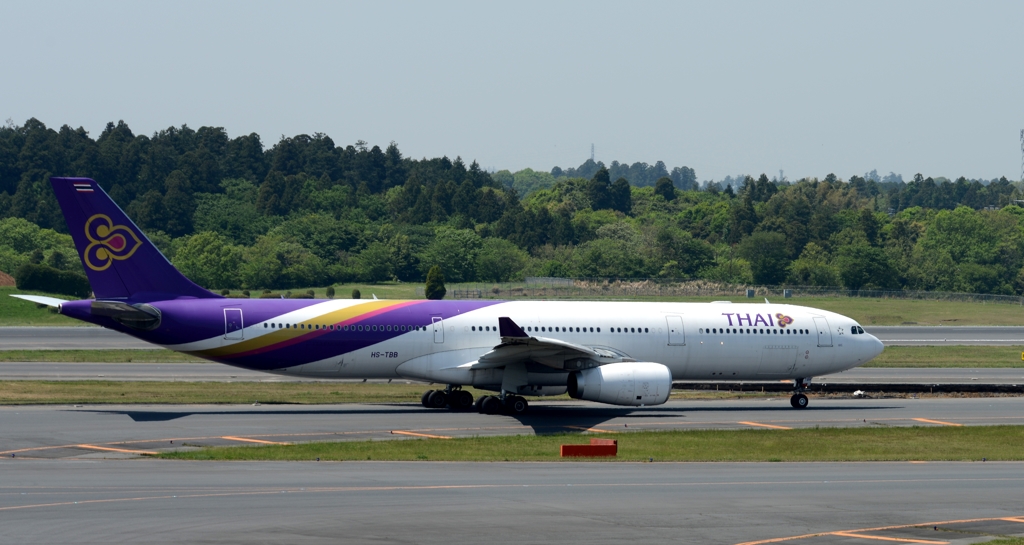 THAI A330-300