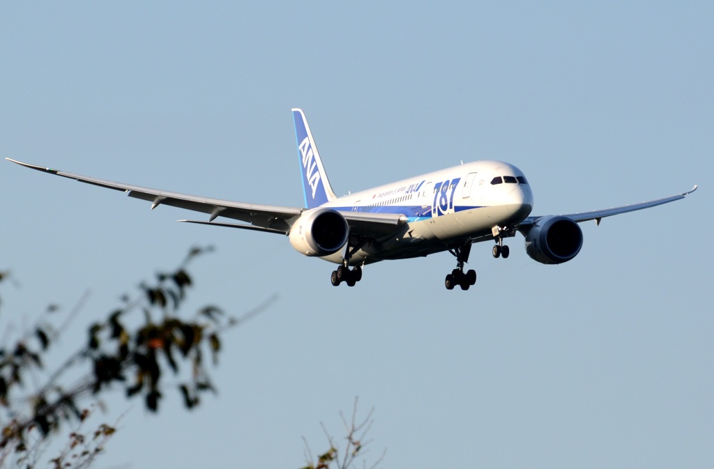ANA 787-881