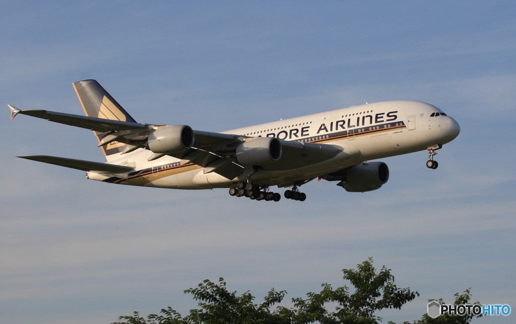 Singapore A380-841 到着　