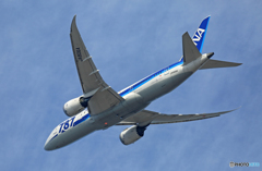 離陸  ANA 787-8 JA806A