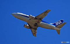 離陸 ANA 737-500 JA8196