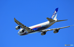 「ぶるー」NCA 747-8KZF JA16KZジャンボ保存委員会  