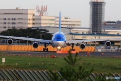 Air Tahiti Nui A340-313 F-OLOV