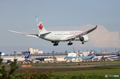 Air canada 787-8  到着