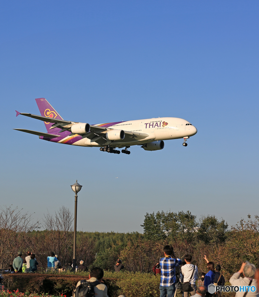 皆で撮ろうーじゃん!  Airbus A380