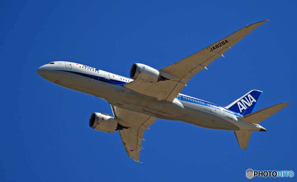 ANA 787-8 JA828A