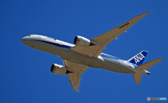 ANA 787-8 JA828A