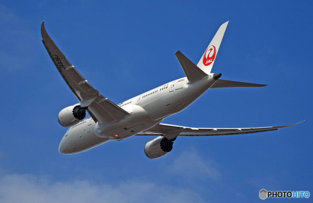 JAL 787-8 JA836J 出発 