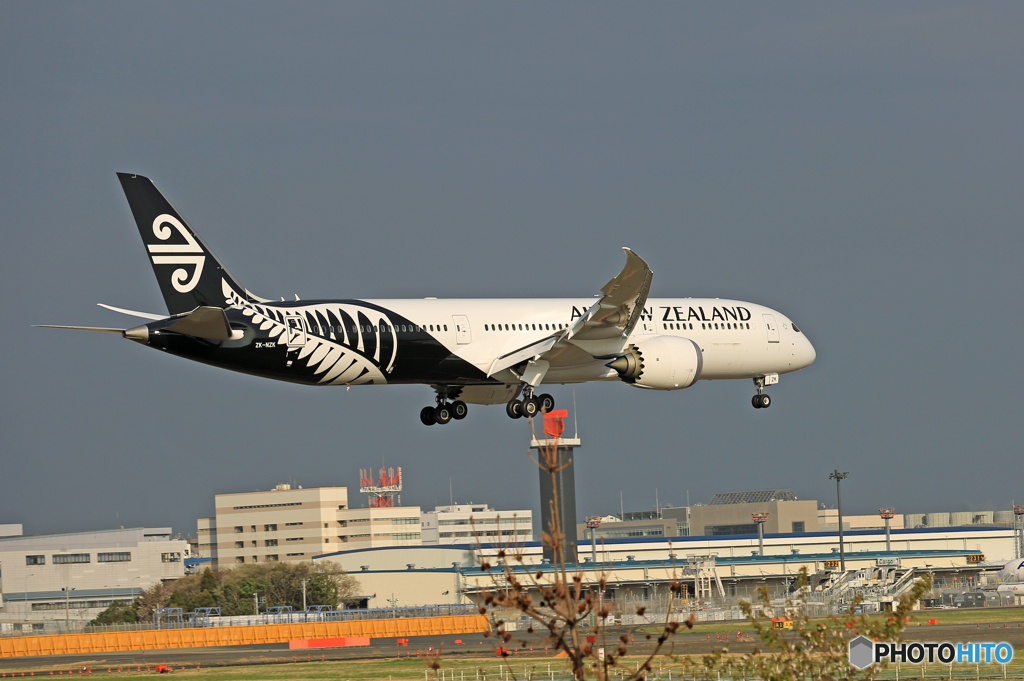 「☁雲なし」 Air NZ' 787-9 ZK-NZK Landing