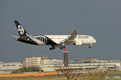 「☁雲なし」 Air NZ' 787-9 ZK-NZK Landing 「☁雲なし」 Air NZ' 787-9 ZK-NZK Landing
