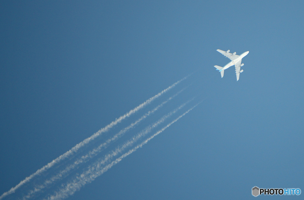 １万ｍ上空です！ Korean Airbus A380