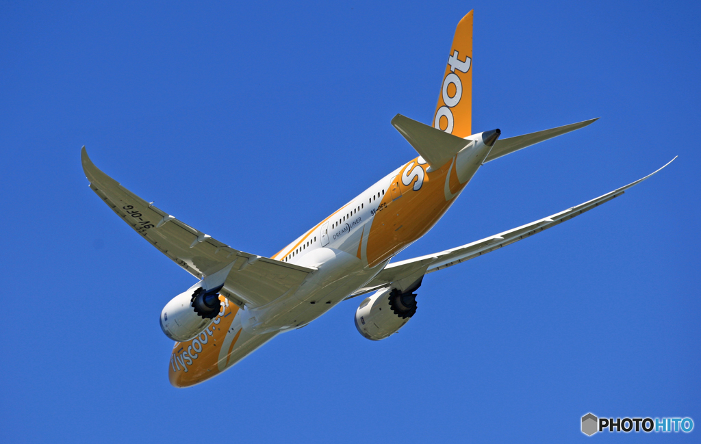 　[青い空]scoot 787-8 9V-OFG離陸
