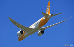 　[青い空]scoot 787-8 9V-OFG離陸