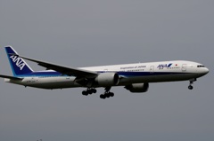 ANA 777-300  着陸　