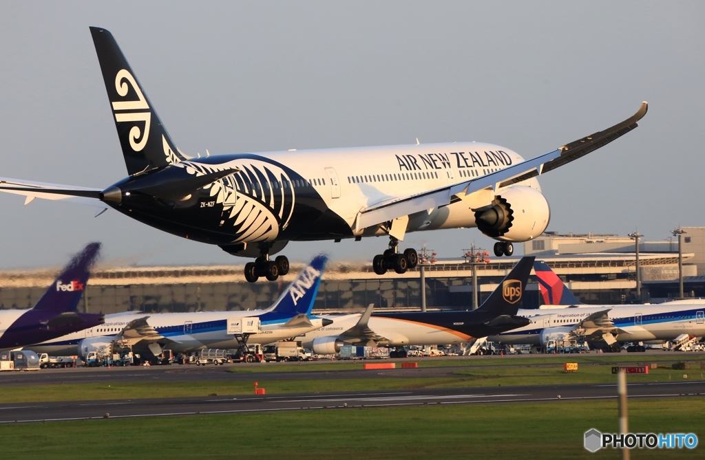 Air New Zealand 787-9 ZK-NZF　
