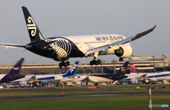 Air New Zealand 787-9 ZK-NZF　