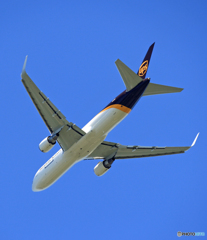 UPS Cargo  [青空]　