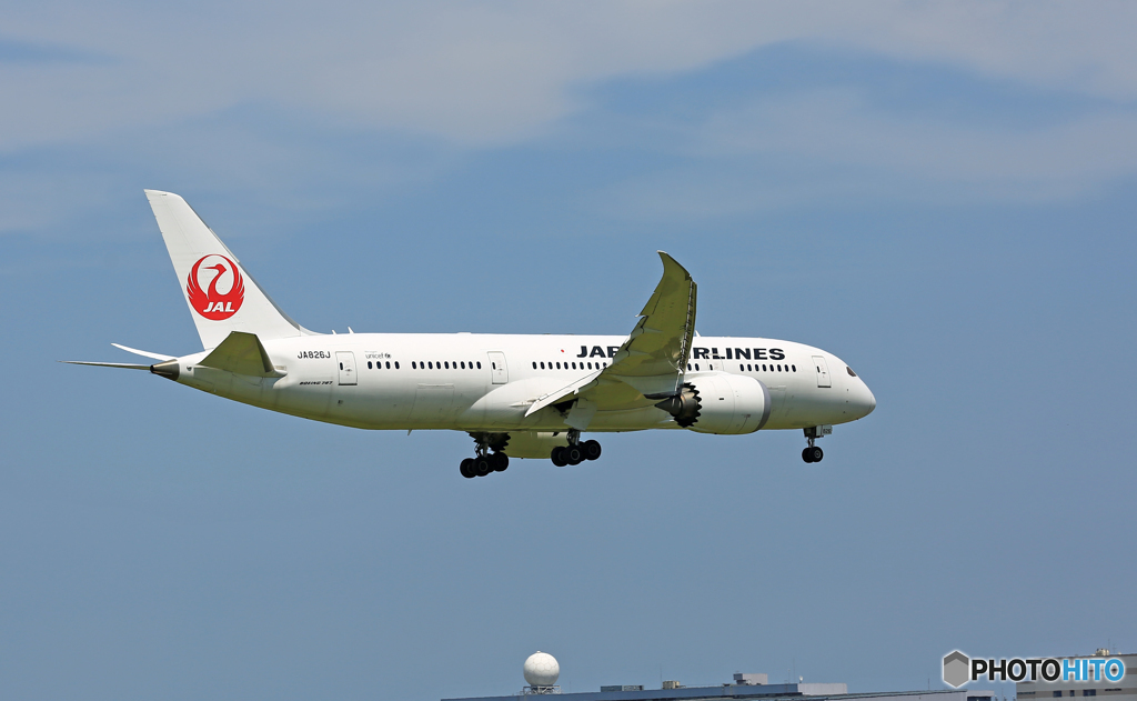到着 JAL 787-8 JA826J