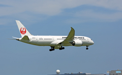 到着 JAL 787-8 JA826J