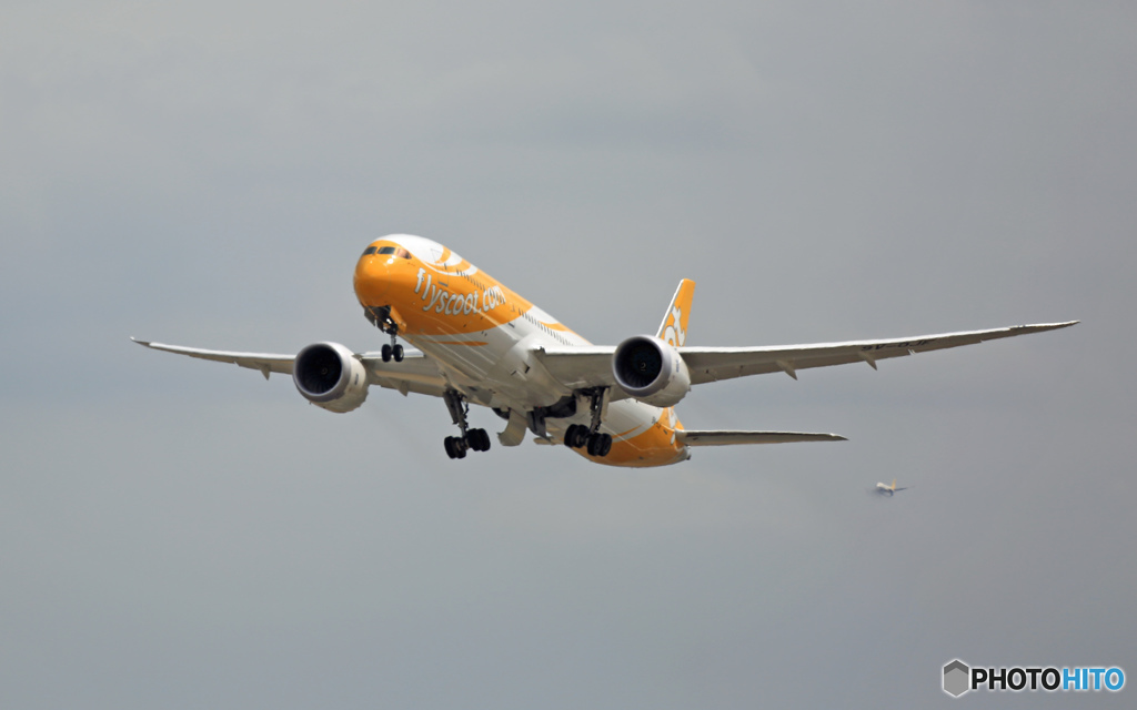 飛び立ち　scoot 787-9 9V-OJF