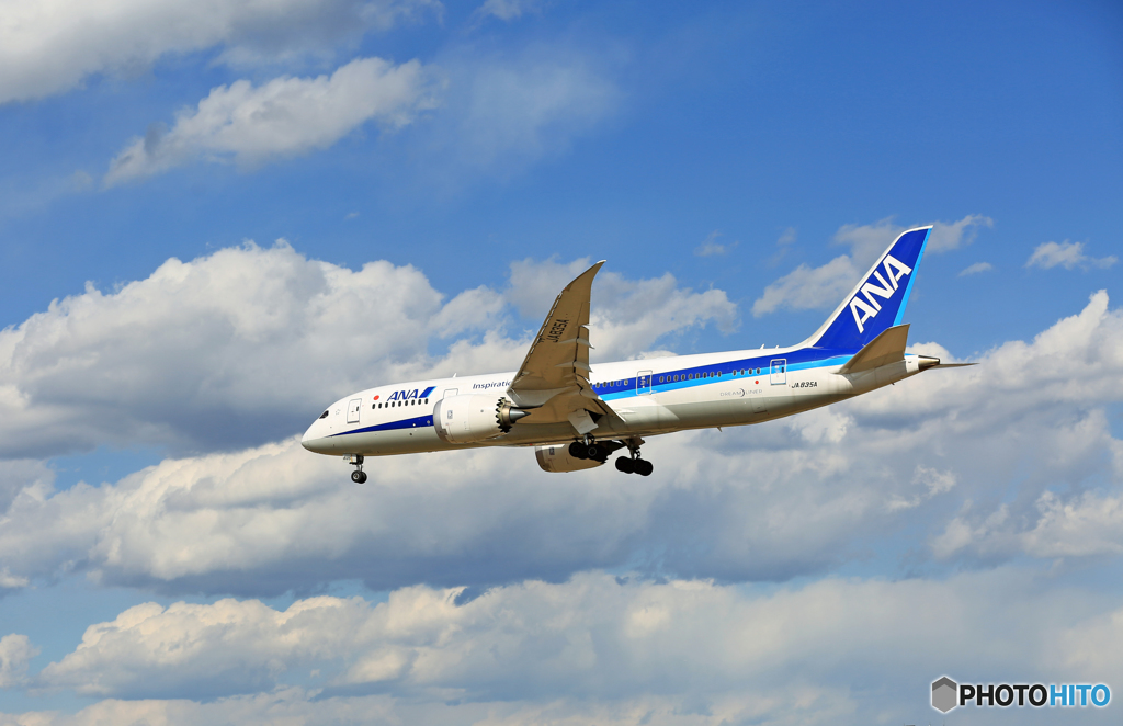着地前 ANA 787-8 JA835A