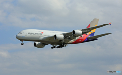 初めての撮影!!!!　Asiana A380