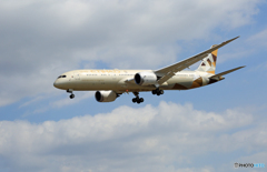 「SKY」 Etihad 787-9 A6-BLC Landing