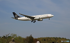 China A330-243 B-6091 着陸 