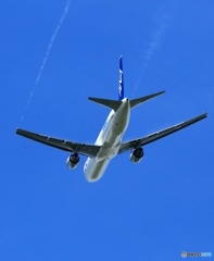 ANA Cargo 767-300F  離陸　