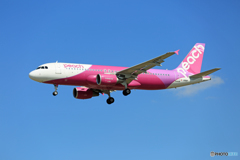 「SKY」 peach A320-214 JA811P到着