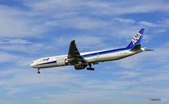 [青空]  ANA 777-381 JA736A